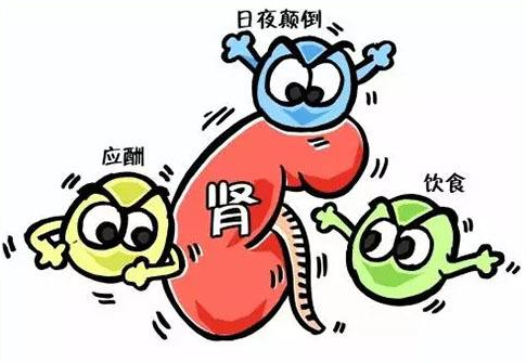 干細胞療法，慢性腎病患者新希望