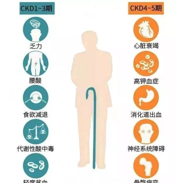 干細胞療法，慢性腎病患者新希望