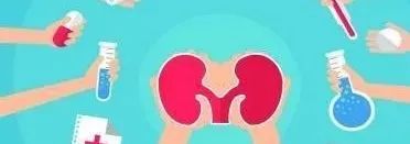 干細胞療法，慢性腎病患者新希望