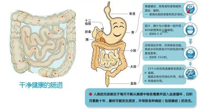 留神染發(fā)對(duì)肝臟、血液、細(xì)胞的危害！