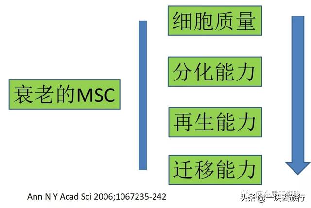 間充質干細胞MSC的功能特性和臨床挑戰(zhàn)