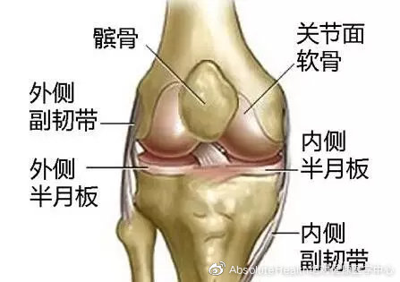 成功案例 | 再生醫(yī)學(xué)療法是如何治療關(guān)節(jié)炎的？