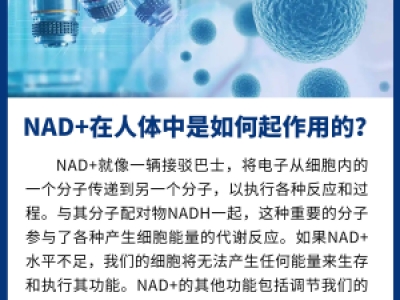 NAD+在人體中是如何起作用的?