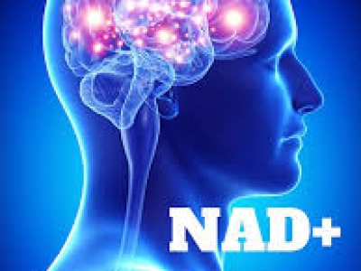 適量服用NAD+：為什么不應(yīng)追求高劑量？
