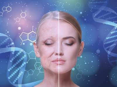 抗衰老領(lǐng)域的兩大明星分子NAD+與NMN，究竟有何區(qū)別？