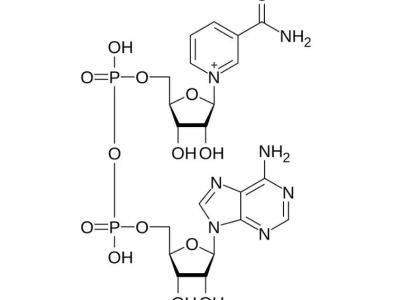 泰國AHG引領(lǐng)NAD+抗衰新時(shí)代