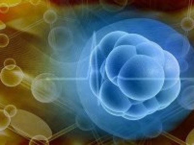 神奇的干細(xì)胞，將成為許多治療方法中許多患者