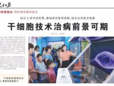 干細(xì)胞技術(shù)登上人民日?qǐng)?bào)！干細(xì)胞治療疾病前景
