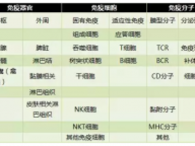 免疫細(xì)胞是生命寶藏，免疫系統(tǒng)是世界上最好的