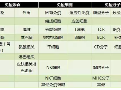 免疫細(xì)胞是生命寶藏，免疫系統(tǒng)是身體的守護(hù)者